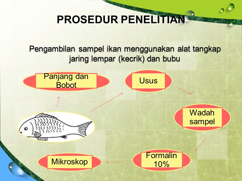 KEBIASAAN MAKANAN DAN LUAS RELUNG IKAN DI HULU SUNGAI CIMANUK KABUPATEN